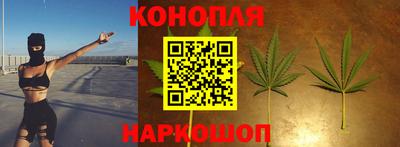 гашик Кингисепп