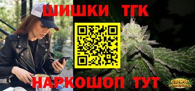 гашик Кингисепп