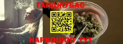 гашик Кингисепп