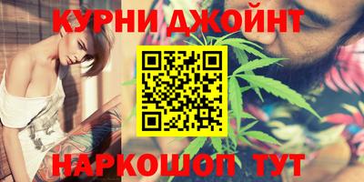 гашик Кингисепп
