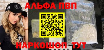гашик Кингисепп