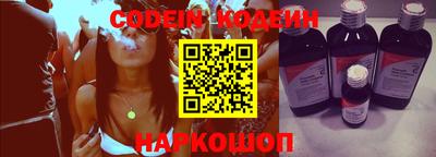 гашик Кингисепп
