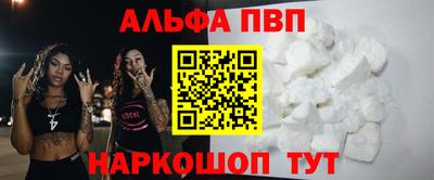 гашик Кингисепп