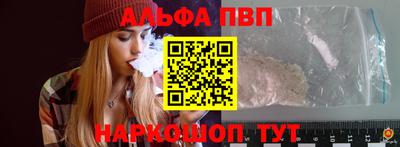 гашик Кингисепп