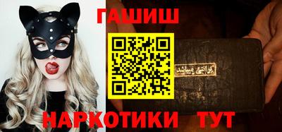 гашик Кингисепп