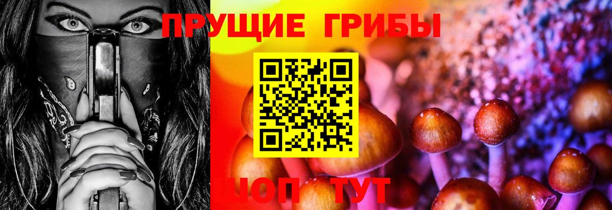 Псилоцибиновые грибы мухоморы  Вход с VPN  Алапаевск  Галлюциногенные грибы ЛСД 